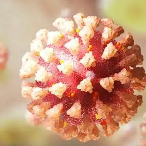 Luces y lámparas ultravioleta: radiación ultravioleta-C, desinfección y coronavirus